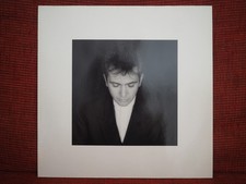 Peter Gabriel    Shaking The Tree: Twelve Gol...