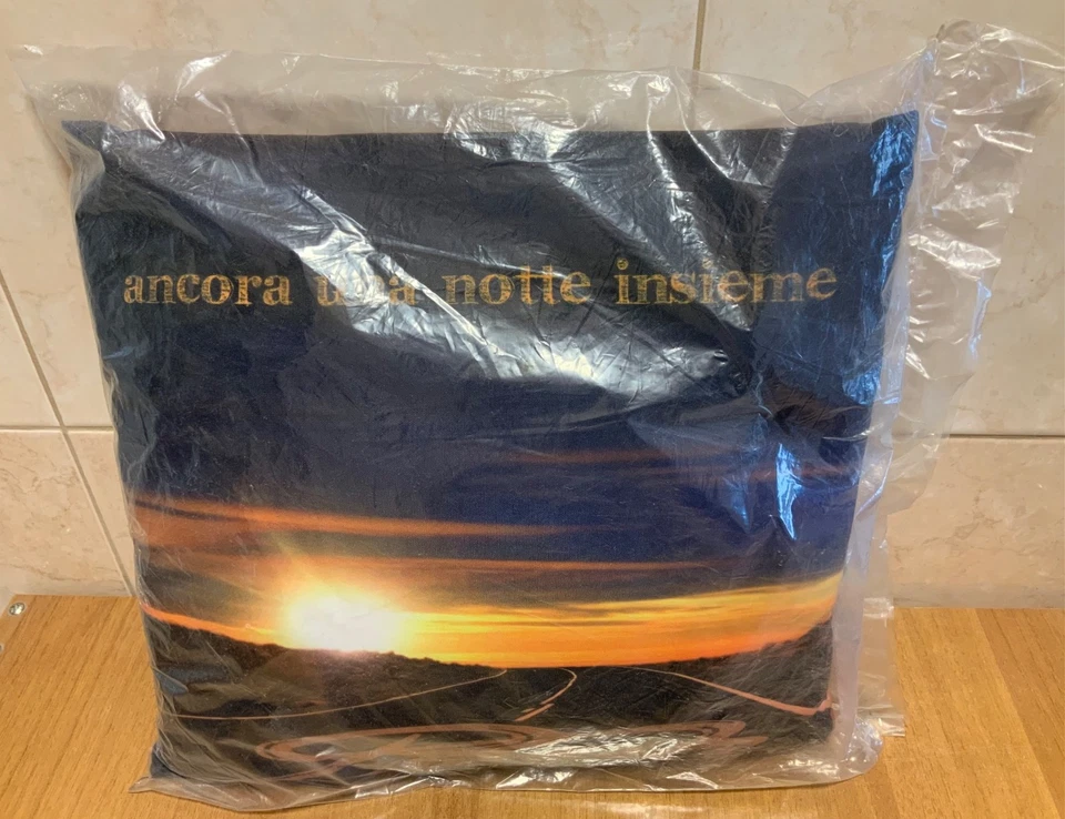 POOH CUSCINO GADGET UFFICIALE ANCORA UNA NOTTE INSIEME NUOVO IDEA REGALO NATALE - Immagine 3 di 4