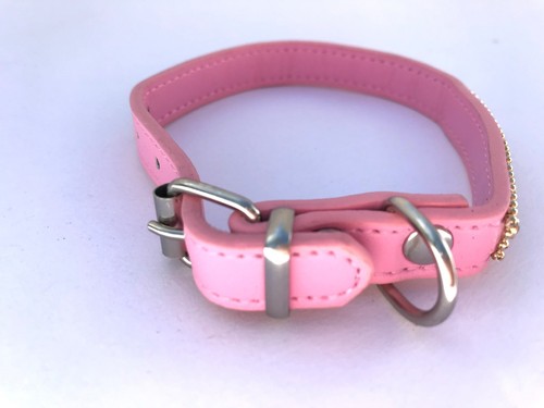 Light Pink Collar with Gold Trim- Bark Avenue Bling - Picture 7 of 7