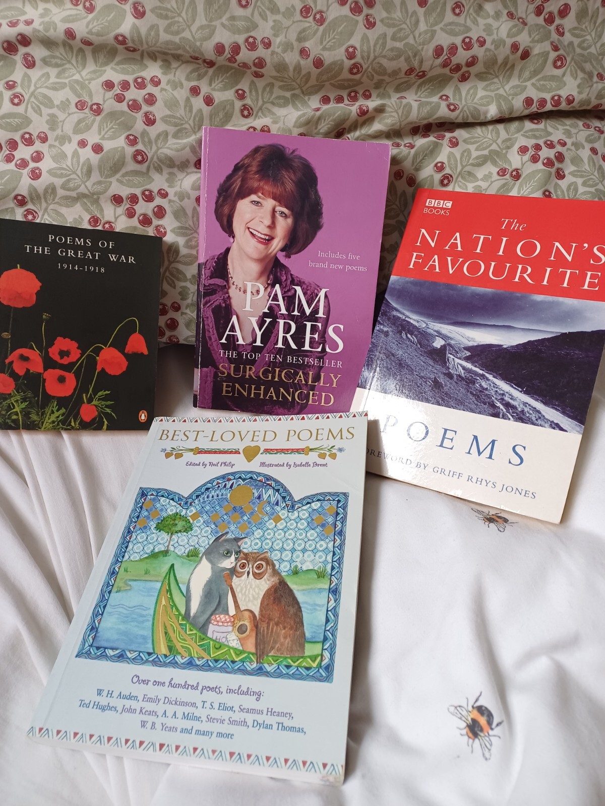 Best Loved Poems, Poetry Books Paperback Non- Fiction Books