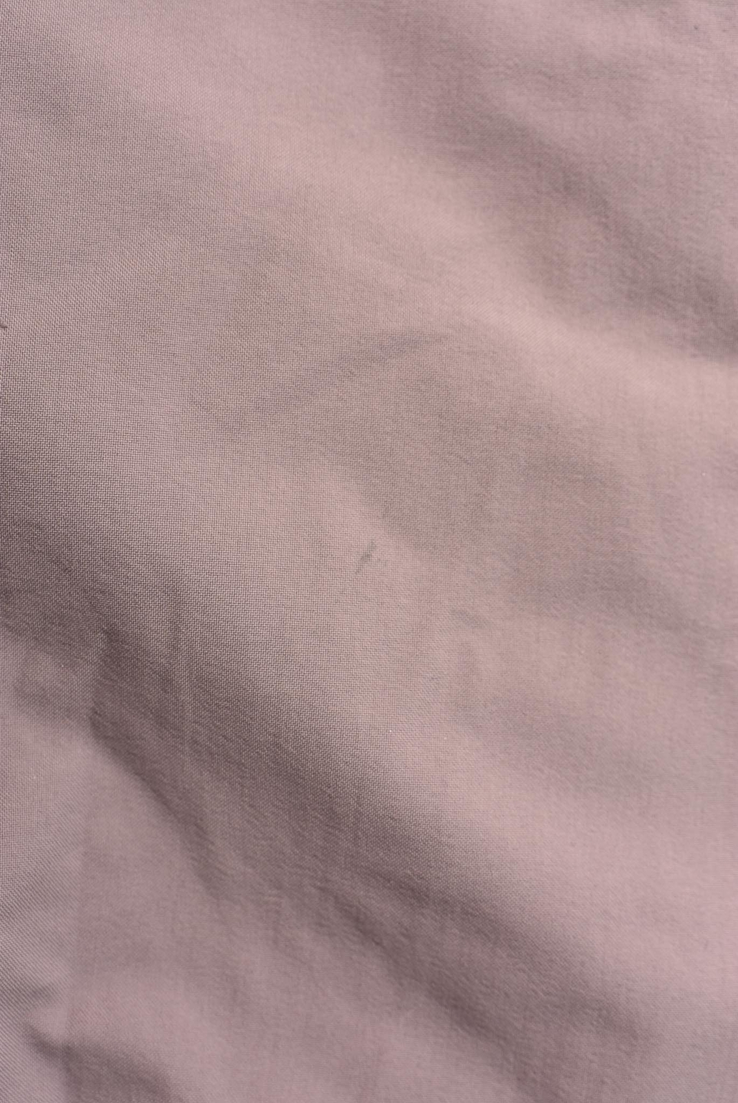 Picture 10 of 10