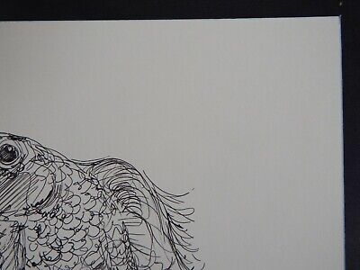 Original Pen & Ink fish drawing sketch of a goldfish on ivory