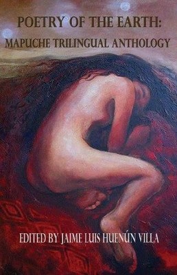 Jaime Luis Huenún Villa Poetry of the Earth (Taschenbuch)