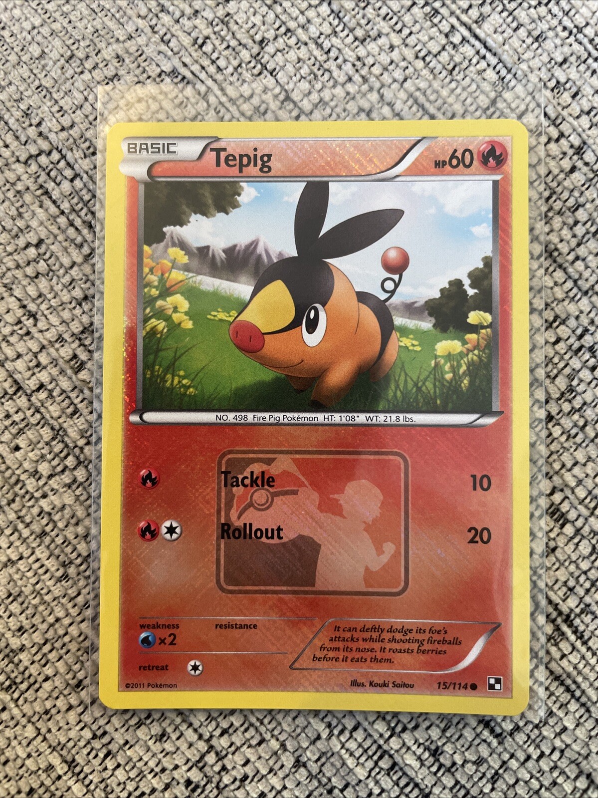 Pokemon Tepig Crosshatch Holo League Promo B&W 15/114 Near Mint