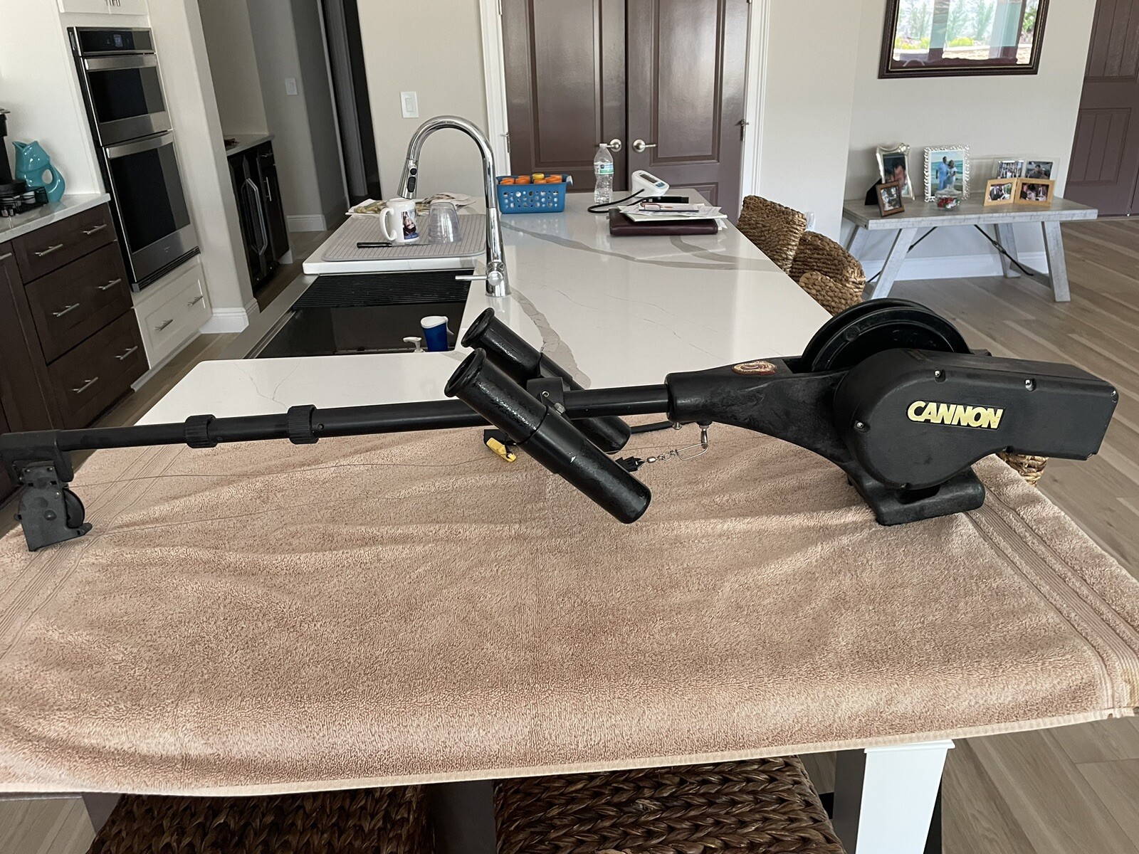 CANNON MAG 10 12V ELECTRIC DOWNRIGGERSGREAT SHAPE! eBay