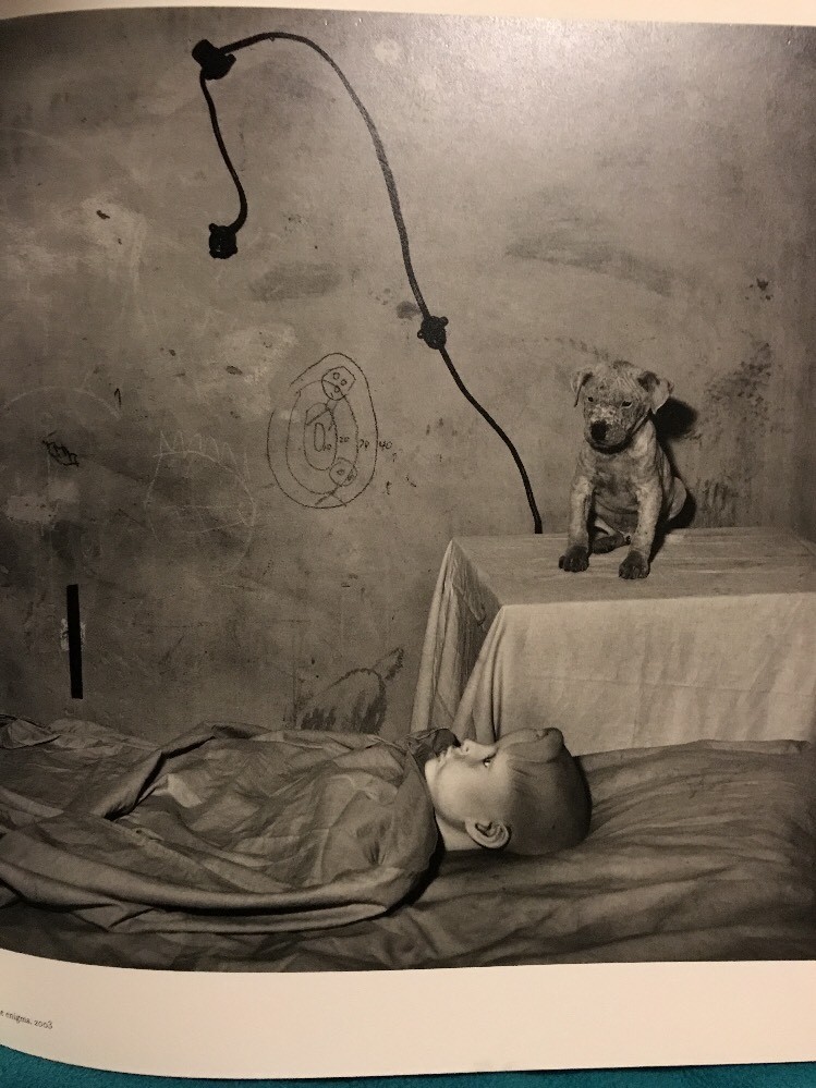 Shadow Chamber by Roger Ballen (2009, Hardcover DJ) Art Book