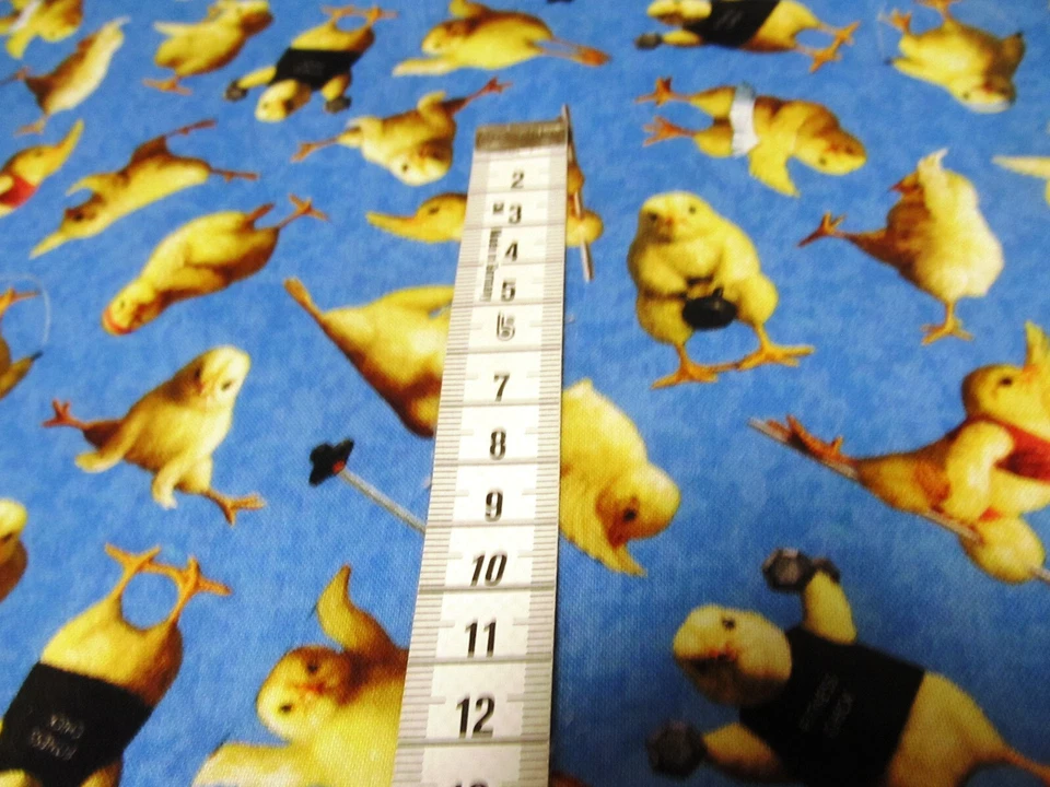 Yoga Fitness Chicks Hühner Elisabeth Studios Patchworkstoff Baumwolle 50x110 cm - Bild 4 von 4