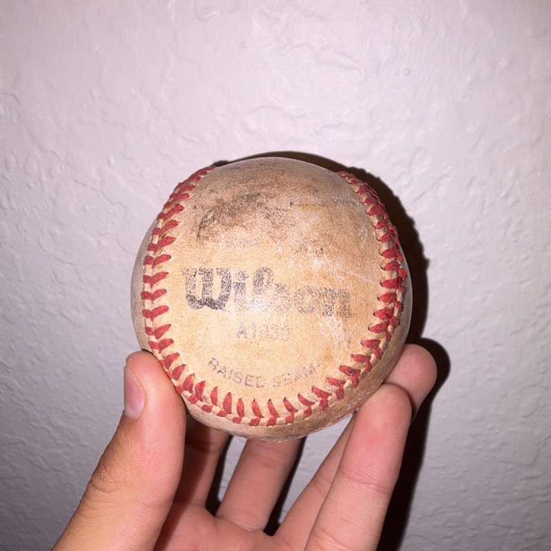 Wilson A1030 Raised Seam Leather Baseball 9 in White/Red 1 Pack
