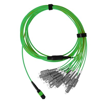 BlueOptics Fiber Breakout Cable, MTP/UPC, 8xDuplex SC/UPC, 30 Meter, Multi-mode 