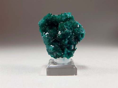 Deep Emerald Green Dioptase Crystal Cluster #21