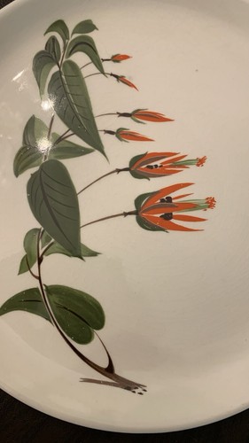 Vintage Retro 50’s Salem Primrose 29pc Set Dinner Plates Cups Saucers Tropic MCM - Picture 16 of 24