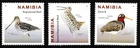 Namibia - Snipe Birds Set MNH 2021 Mi. 1628-1630