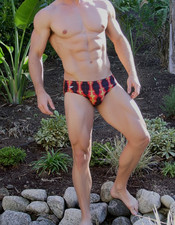 RARE Vintage Speedo  Men  s Sz 30 Abstract Cross print competition racer swimsuit