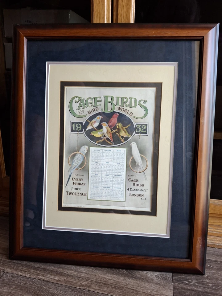 Vintage Old Aquarium Pet Store 1932 Framed Original Cage Bird Magazine Calendar - Image 4 of 4