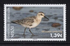 SPM SAINT-PIERRE & MIQUELON  2025  MNH  (BÉCASSEAU SANDERLING - BIRD)