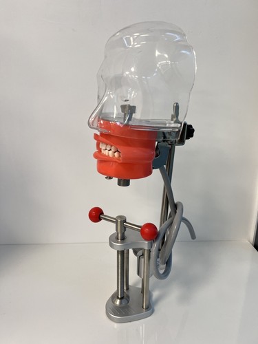 Entrenamiento dental práctica fantasma cabeza de maniquí tipodonte compatible con Nissin Kilgore - Imagen 7 de 11