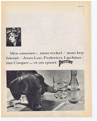 ADVERTISEMENT ADVERTISING 104 1966 PERRIER mes amours mon dachshund ma cooper