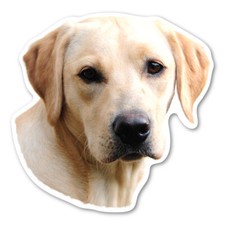 (Yellow) Labrador Retriever Magnet