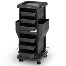 Salon Trolley Mobile Hair Stylist Cart with 6 Drawers, Dryer Holder  Wheels