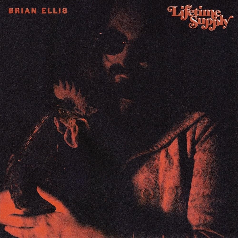 Brian Ellis Lifetime Supply (Vinyl LP)