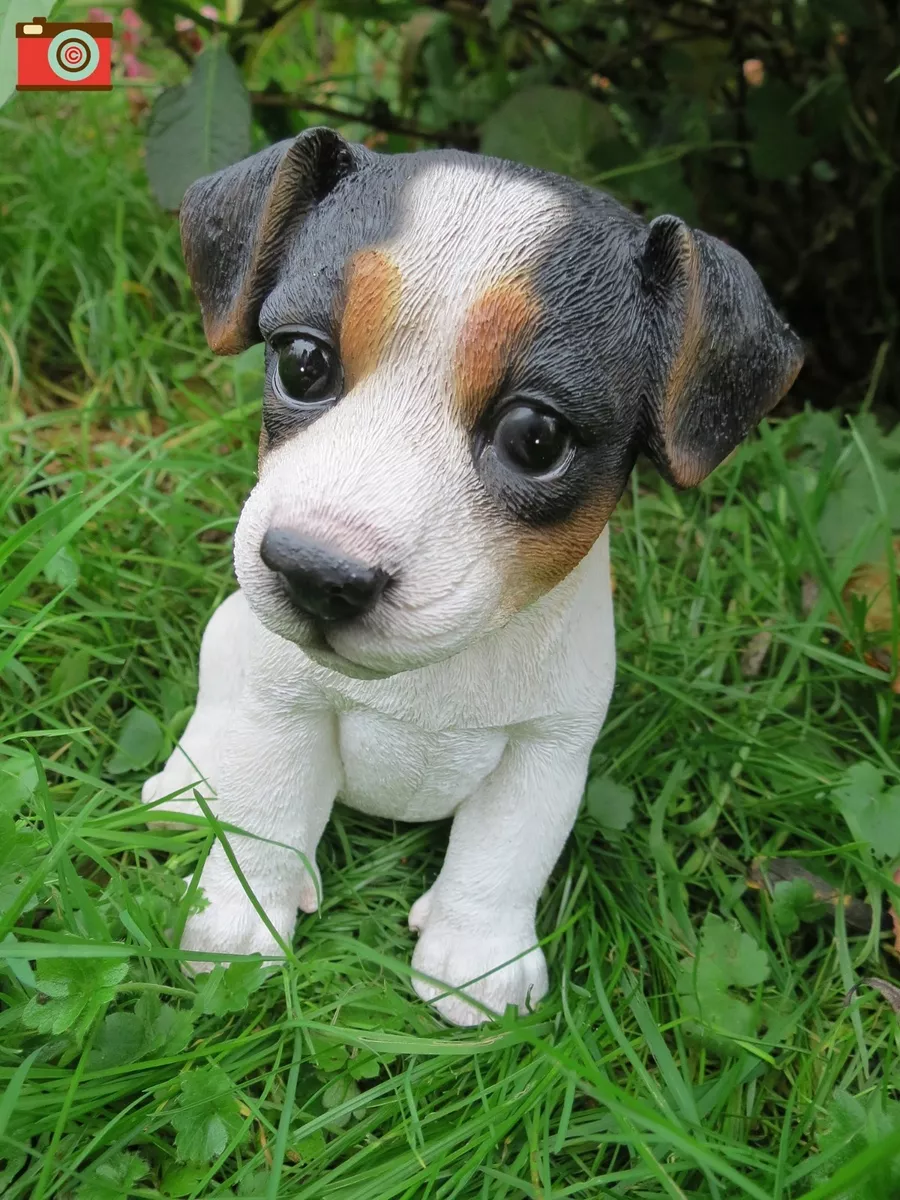 JACK RUSSELL PUPPY, Tri Colour, Very Cute Home & Garden Ornament. Very  Realistic