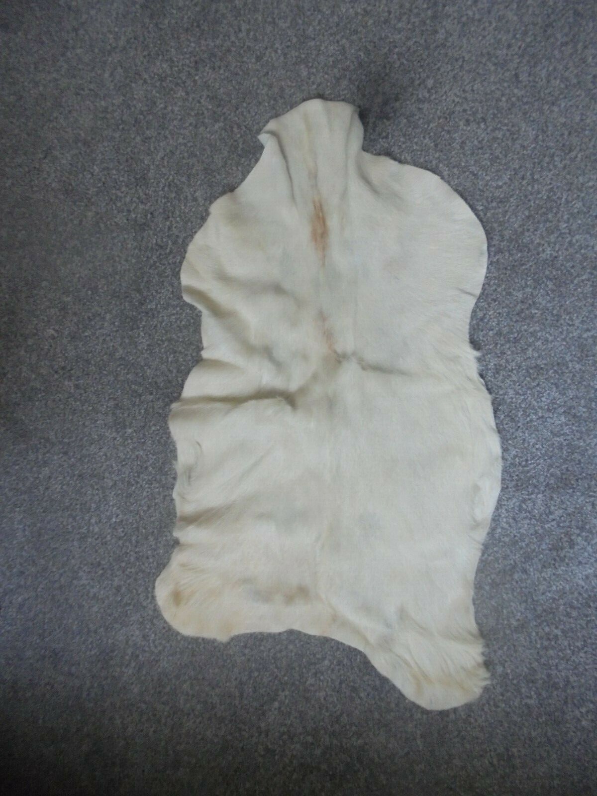 Picture 1 of 4