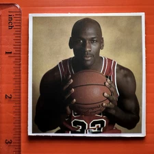 Michael Jordan Chicago Bulls Sticker Decal NBA