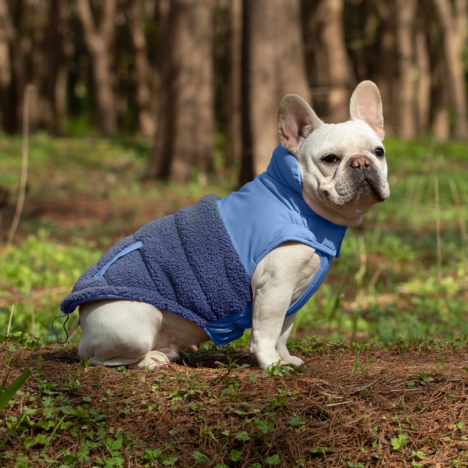 Abrigo a prueba de viento para perro chaqueta para nieve chaleco correa ajustable S-4XL azul nuevo Foto 4 de 4