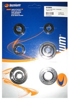 Tecnium Satz Motor-Simmerringe FüR Yamaha YZ 85 LW BIG Wheels 19/16 (CB08) 2004