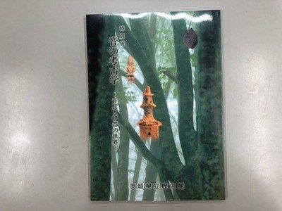 Catalog Special Exhibition Archeology Of Sound The World Musical Instruments And