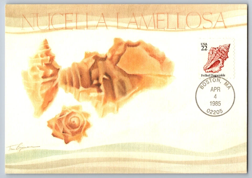 #2117-21 Seashells Set of 4 FDC Maxi Cards - Image 3 of 4