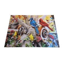 MasterPieces Audubon Backyard Birds 1000-pc Jigsaw Puzzle 100 Complete  Poster