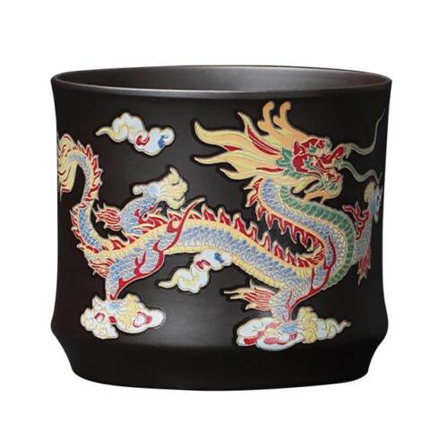 Tetera 135-350 ml arcilla multicolor hecha a mano dragón sólido fácil de llenar chino - Imagen 29 de 31