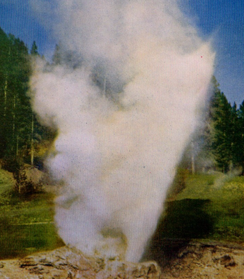 #ad Vintage Postcard Riverside Geyser Upper Geyser Basin Yellowstone Nat#x27;l Park WY $3.49