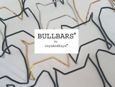 JaysAndKays  BULLBARS  for Casio G-Shock DW6600 6900 Protectors Wire Guards 6600