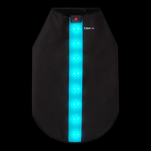 Small Blue Waterproof Rechargeable LED Dog Coat Hi Vis Reflective Vest Safety - Picture 2 of 9