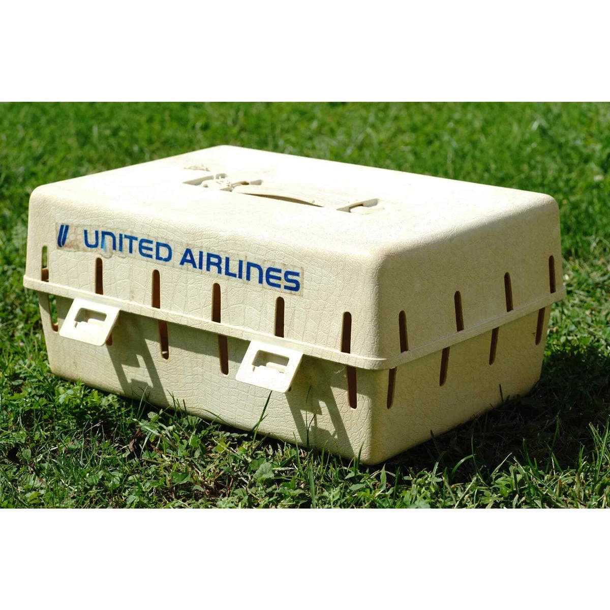 United clearance pet carrier