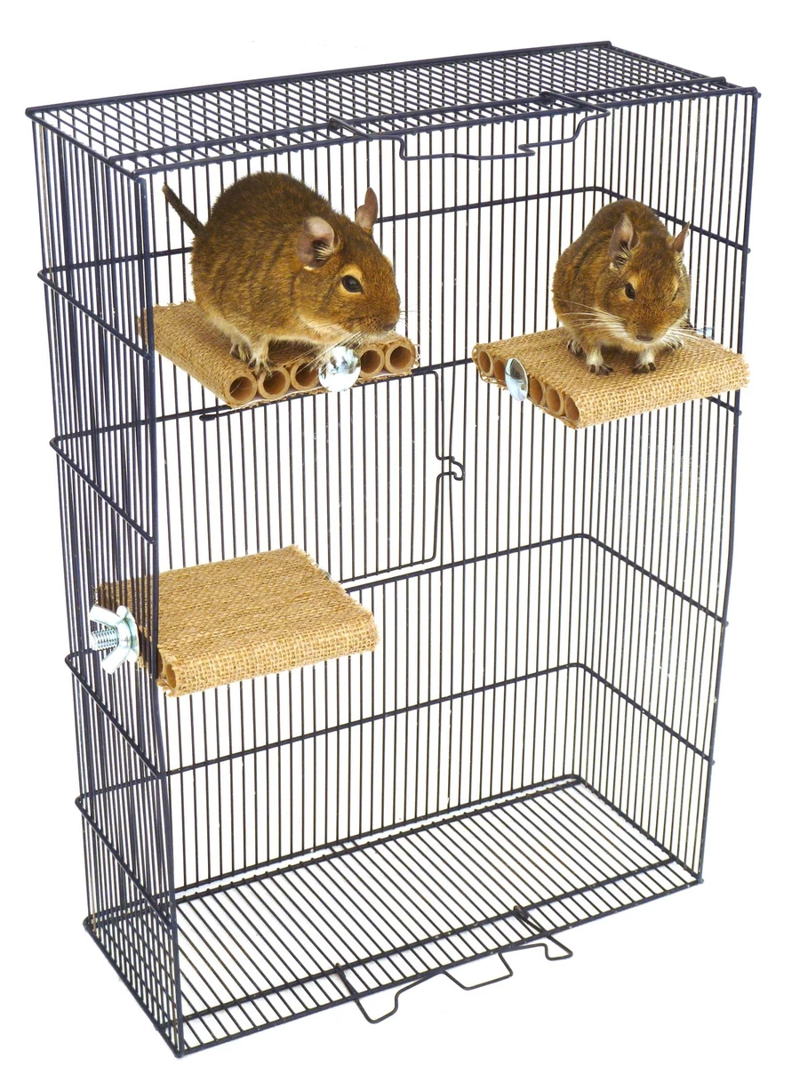 Homemade gerbil toys sales