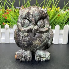 3.3LB 4.9" Natural Money Agate Owl Carving Crystal Quartz Energy Reiki Gift
