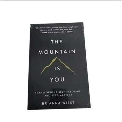#ad #ad The Mountain Is You – Transforming Self Sabotage Into Self Mastery English Pap $7.88