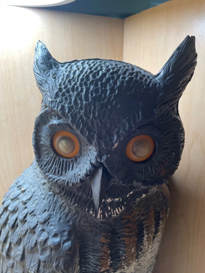 Vintage 21” Horned Owl Decoy for Barn, Dock, Crow Hunting or Garden -made Italy - Image 4 of 4