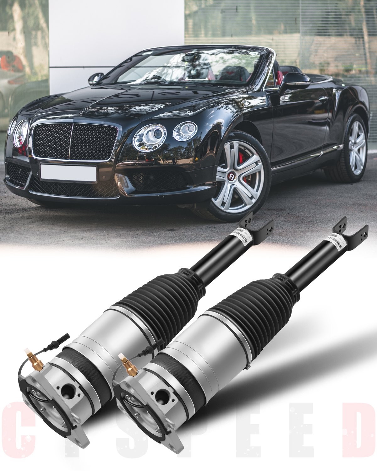 Bentley Continental GT REAR+LEFT, RIGHT Air suspension strut P/N 3W0616001