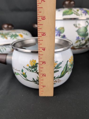 Lot Of Villeroy & Boch Botanica Enameled Metal Cooking Pots And Pans - Picture 7 of 18