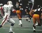 Signed 8x10 Larry Seiple Miami Dolphins Autographed photo - w/ COA