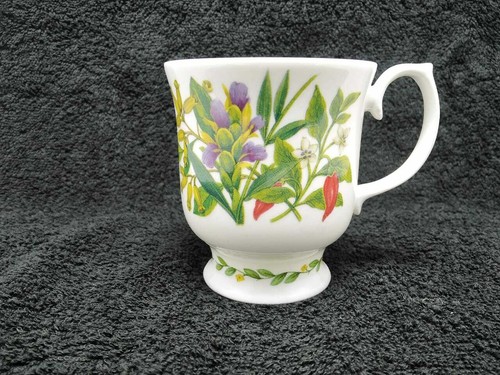 ROY KIRKHAM fine bone china HERBS N SPICES Footed MUG made in ENGLAND 1997 NUTME