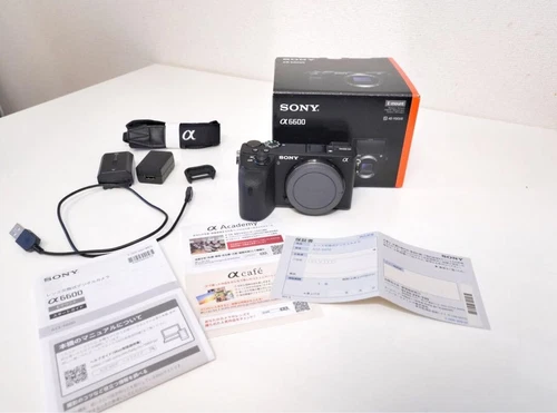 Sony a6600 Body ILCE6600 24.2MP Spiegellose Kamera mit Box Akku Netzteil Gurt