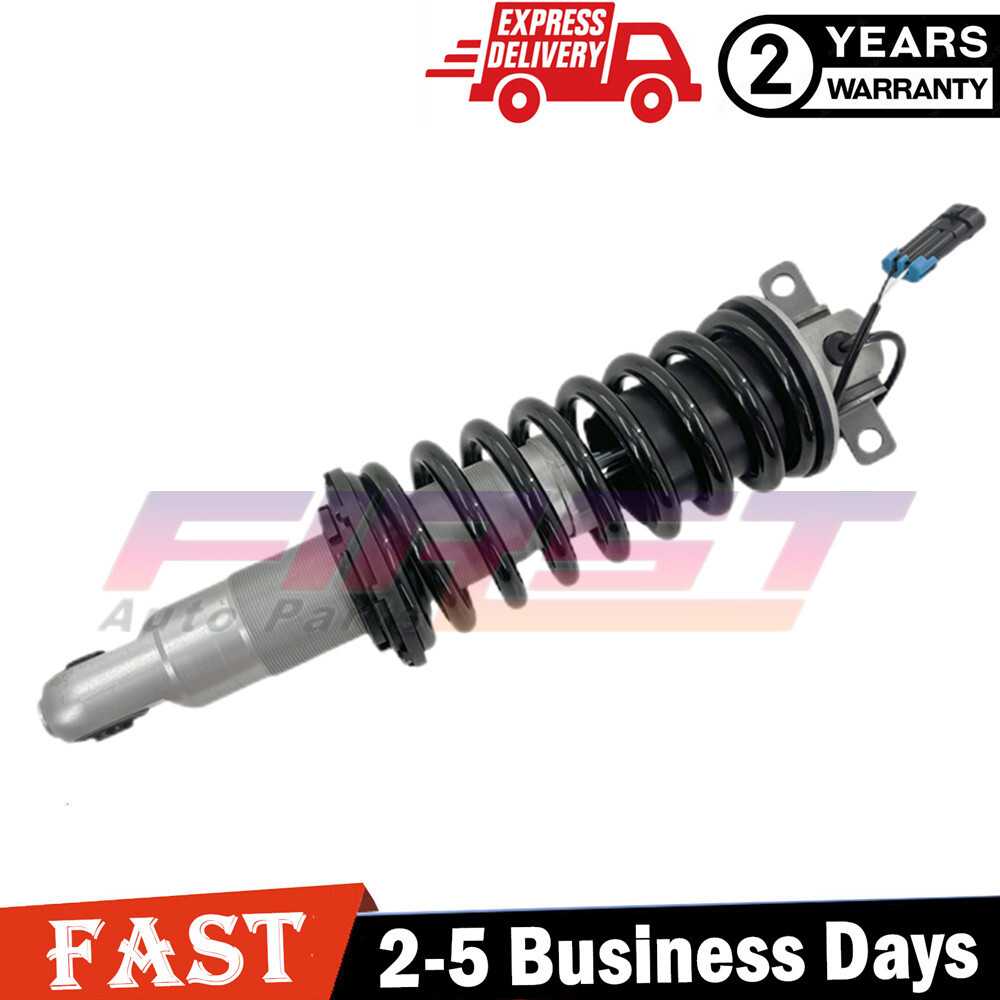 Fit Ferrari 360 Spider 174722 Front Left or Right Shock Strut Magnetic 2000-2005