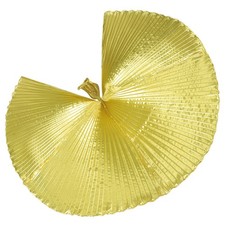  Ala di danza del ventre di danza di danza di danza del ventre Ala angeli con