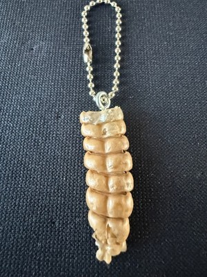 L K - Large Rattlesnake Rattle - Key Chain KR22  