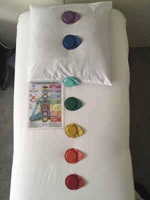 7pc Small Magnets 1800G to Balance Your Chakras with Biomagnetism/Dr Goiz Method